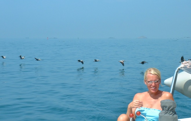 pelicans ali
